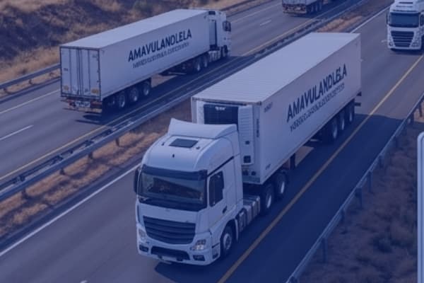 Amavulandlela import and export services — customs clearance freight and international trade South Africa